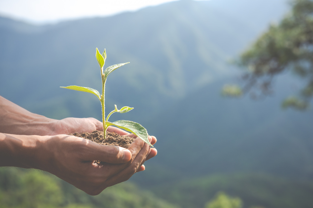 Environmental Commitment